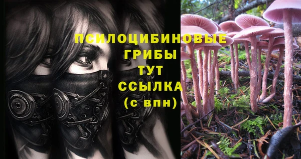 кокаин колумбия Алзамай