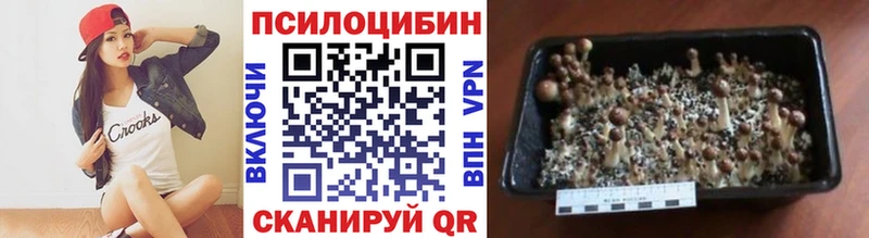 закладки  Люберцы  Псилоцибиновые грибы Cubensis 